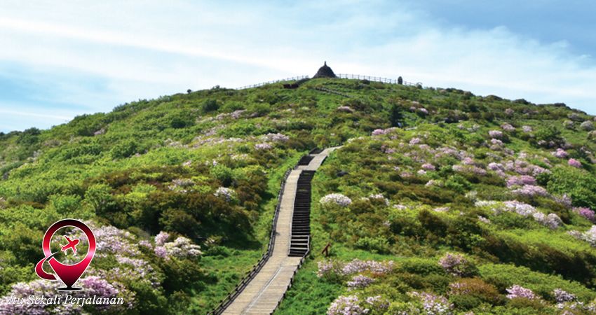 Taman Nasional di Korea Selatan: Petualangan Alam!