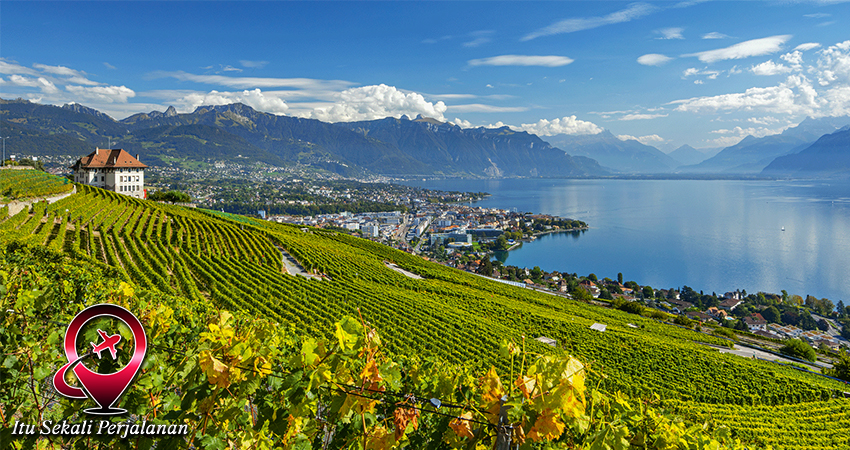 Swiss dan Dunia Perjamuan: Wine dan Keju